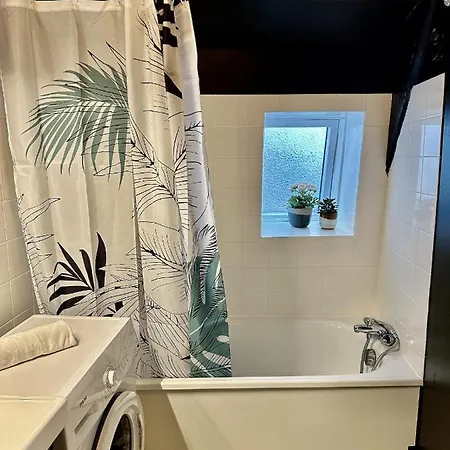 L'eucalyptus * Реймс