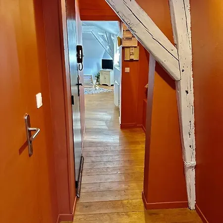 L'eucalyptus Реймс